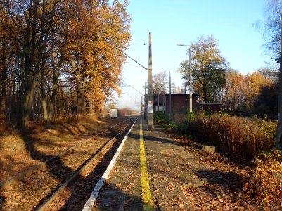 Bdg Brdyujscie 11-18 3