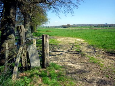 BB26 Boundary Stone, Barnhorn (2)