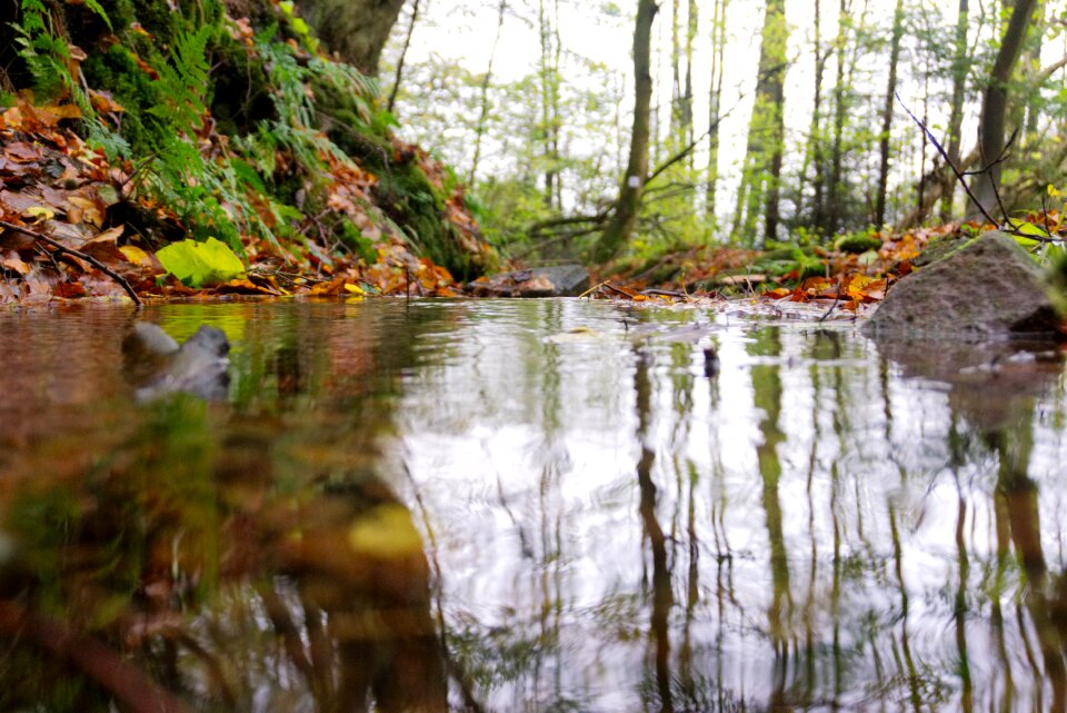 Water nature landscape