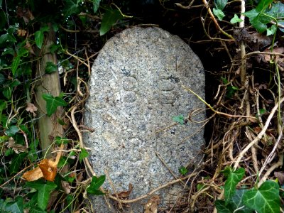 BB31 Boundary Stone, Whydown Road
