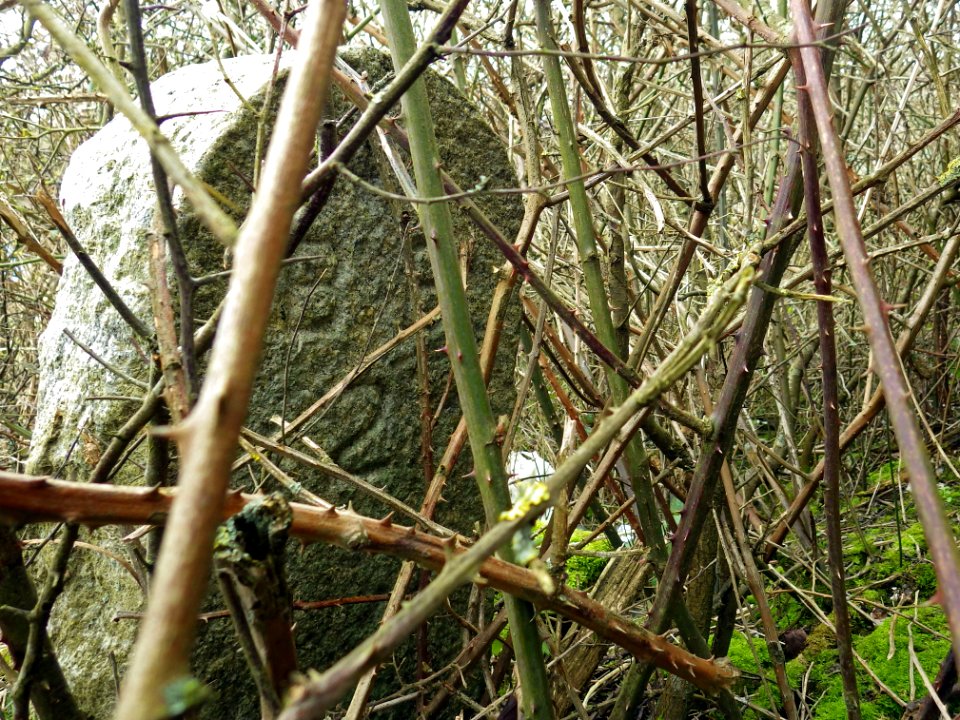 BB2 Boundary Stone, Normans Bay
