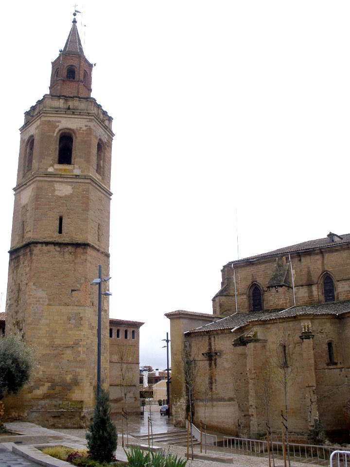 Barbastro - Catedral 03