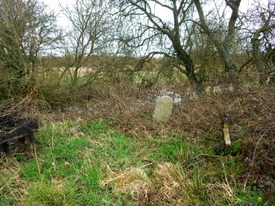 BB44 Boundary Stone, Combe Valley (2)