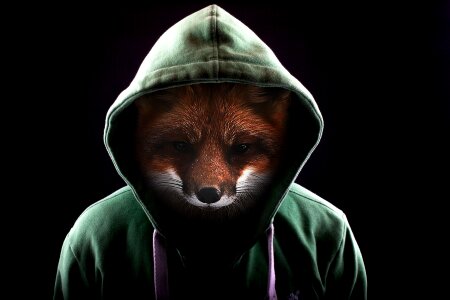 Hoodie photo editing dark