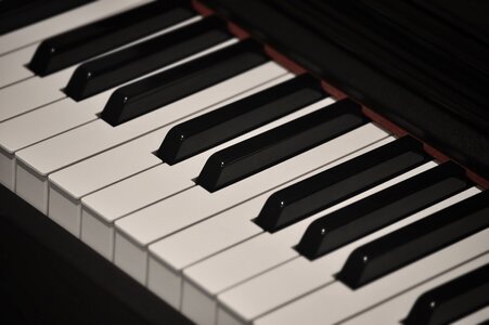 Sound synthesizer instrument