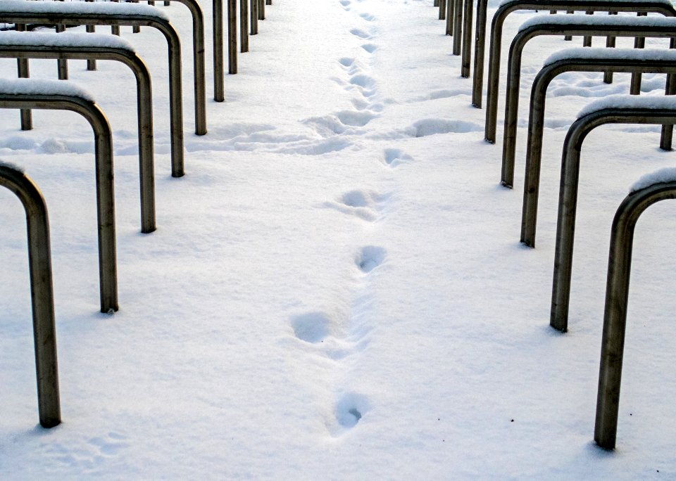 Bike racks in snow