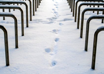 Bike racks in snow