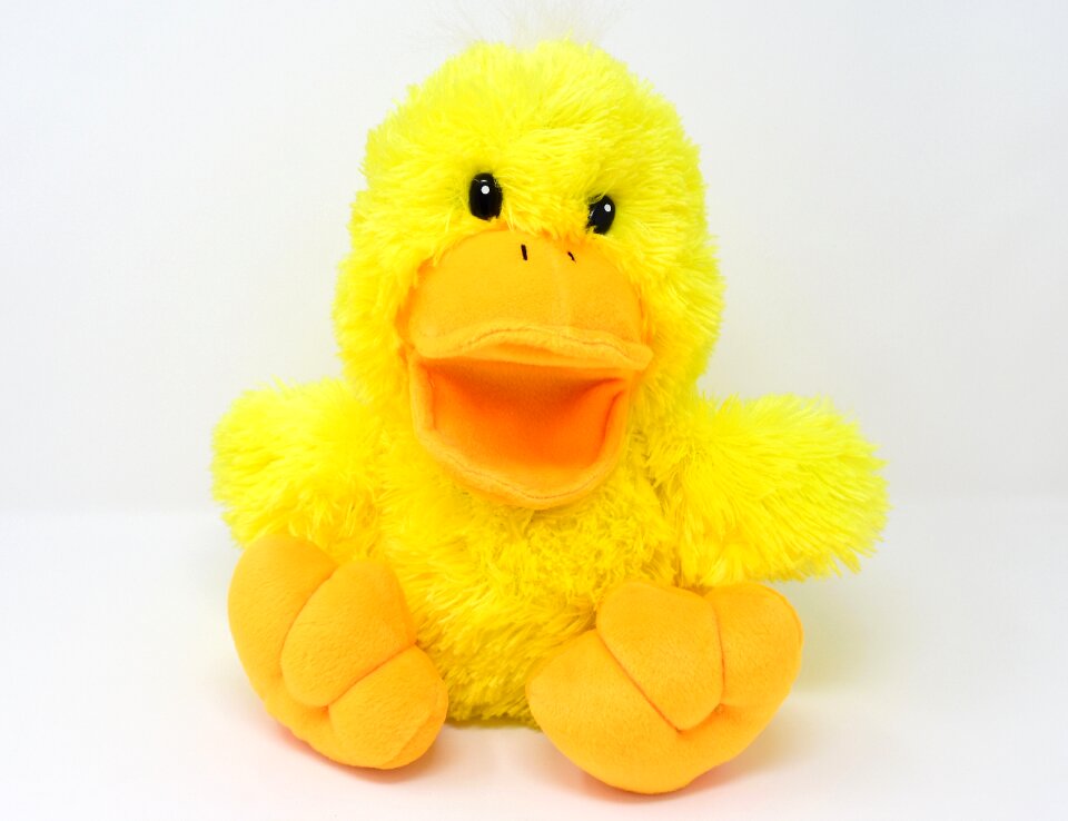 Toys sweet stuffed animal