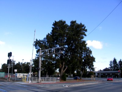 Bay Meadows Station 3090 05
