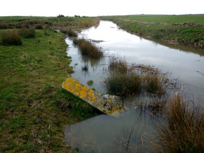 BB12 and CH10 Boundary Stones, Hooe Level (2)