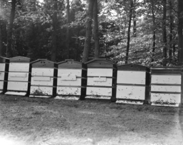 Bijenkastjes, Bestanddeelnr 902-8283