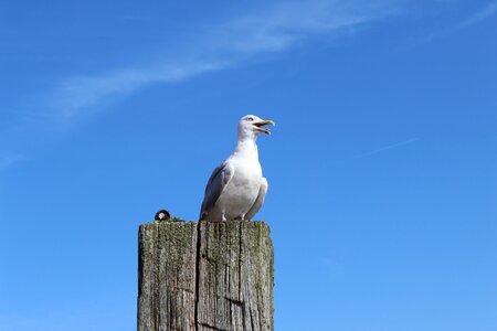 Sky nature port