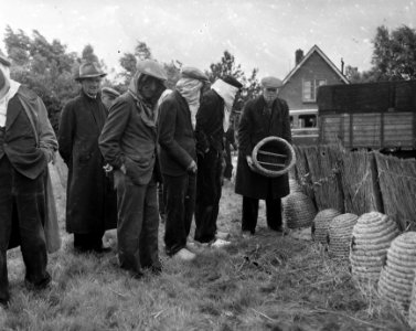 Bijenmarkt te Veenendaal, Bestanddeelnr 907-9102