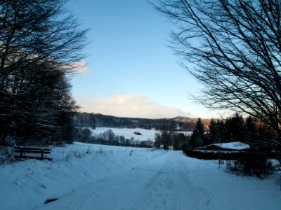 Altenbrak Feldflur (12)