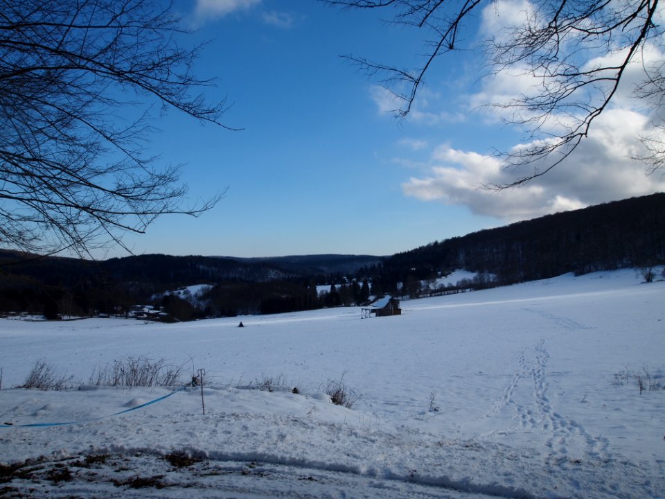 Altenbrak Feldflur (14)