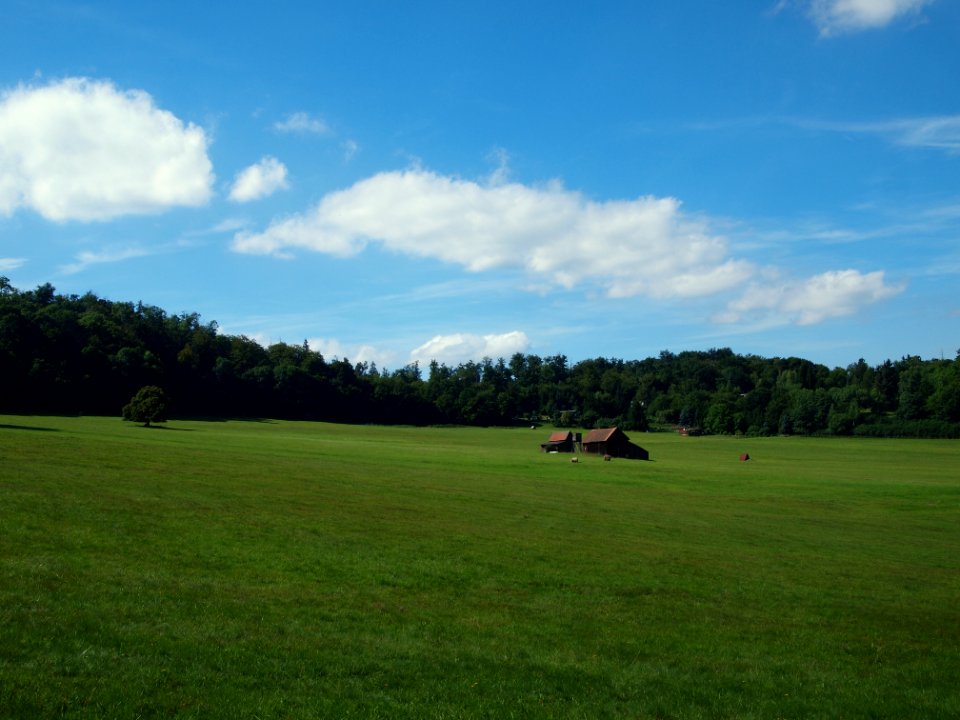 Altenbrak Feldflur (16)