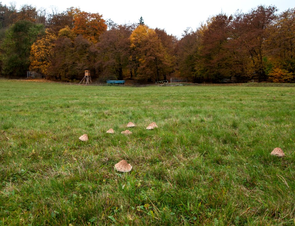 Altenbrak Feldflur 11-2016