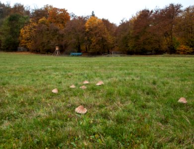 Altenbrak Feldflur 11-2016