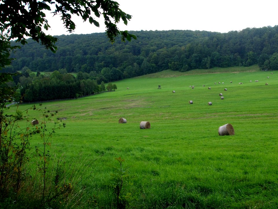 Altenbrak Feldflur (3)