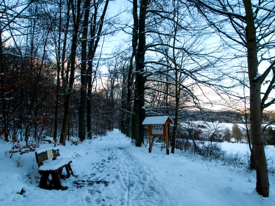 Altenbrak Eichenallee (2)