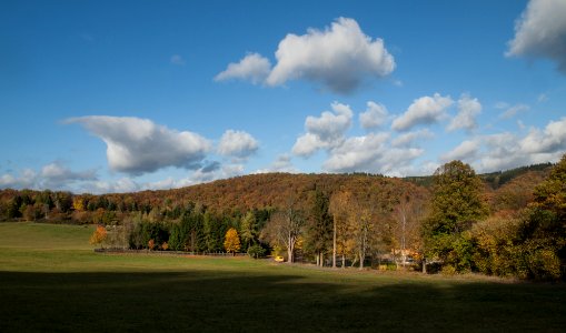 Altenbrak Feldflur (23)