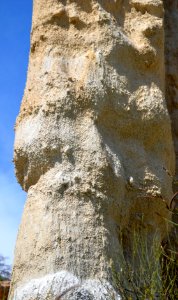 Ille-sur-Têt Orgues 27072014 22
