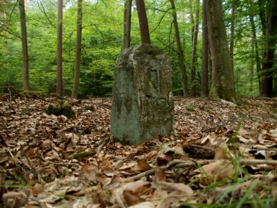 20110731Reilinger Eck15