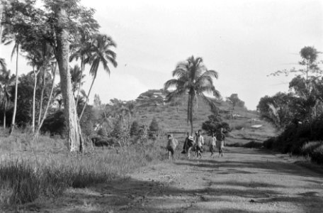 Indonesische vrouw met jongens en mannen loopt over een landweg. Op de achtergro, Bestanddeelnr 6833