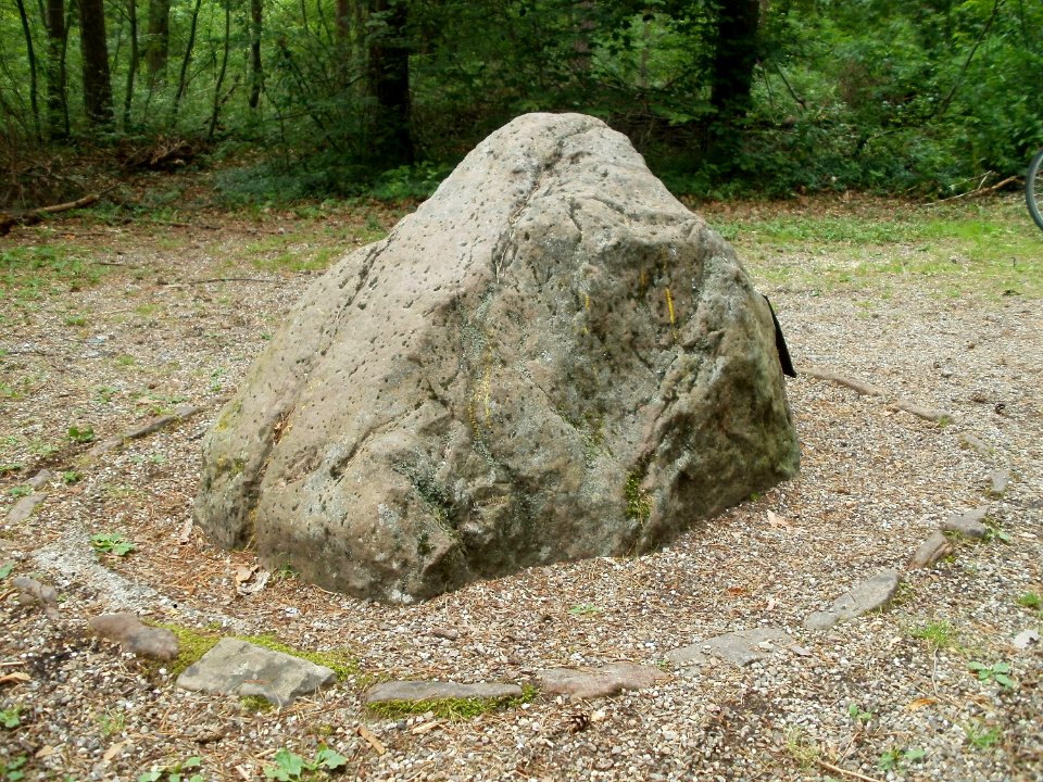 20110630Huenenstein Sandhausen4