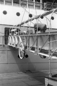 Inscheping op het schip Johan van Oldenbarnevelt, Bestanddeelnr 443