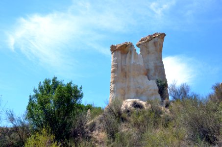 Ille-sur-Têt Orgues 27072014 06