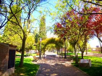 Illescas - Parque Manuel de Vega 05