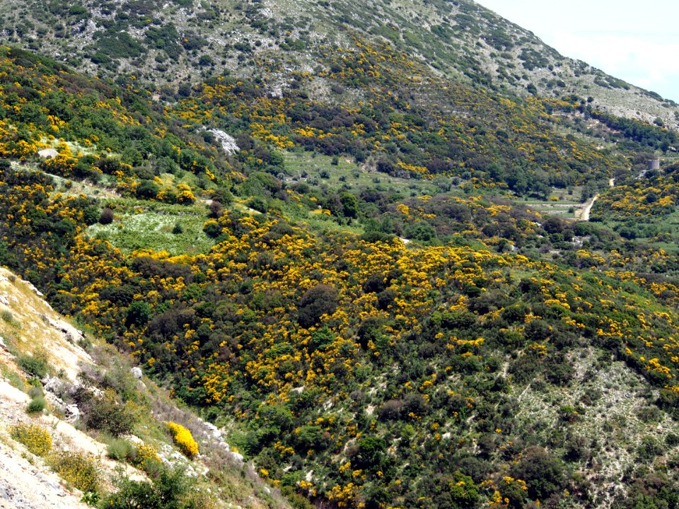 In the mountains of Lefkada, pic7