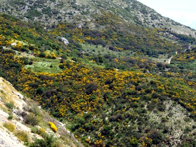 In the mountains of Lefkada, pic7