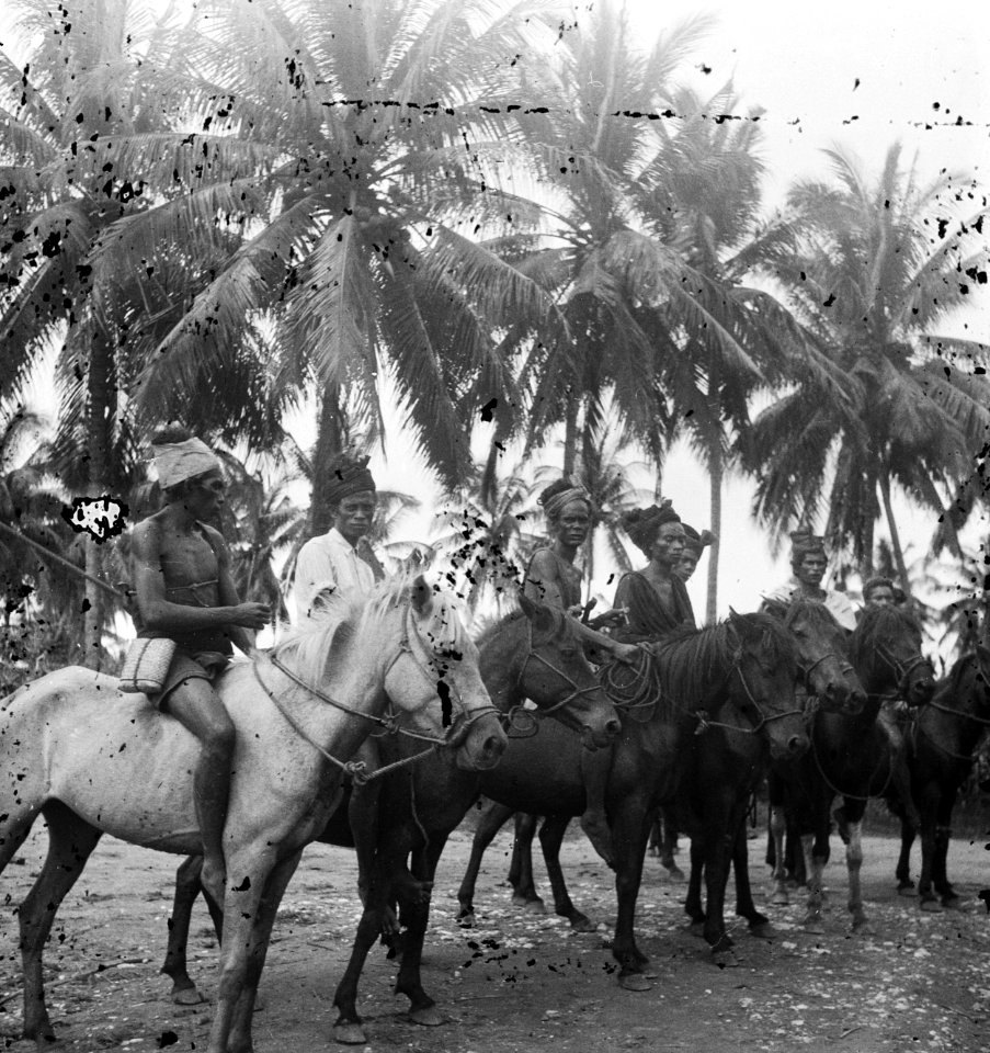 Indonesische ruiters op paarden. Soembawa, Bestanddeelnr 15913