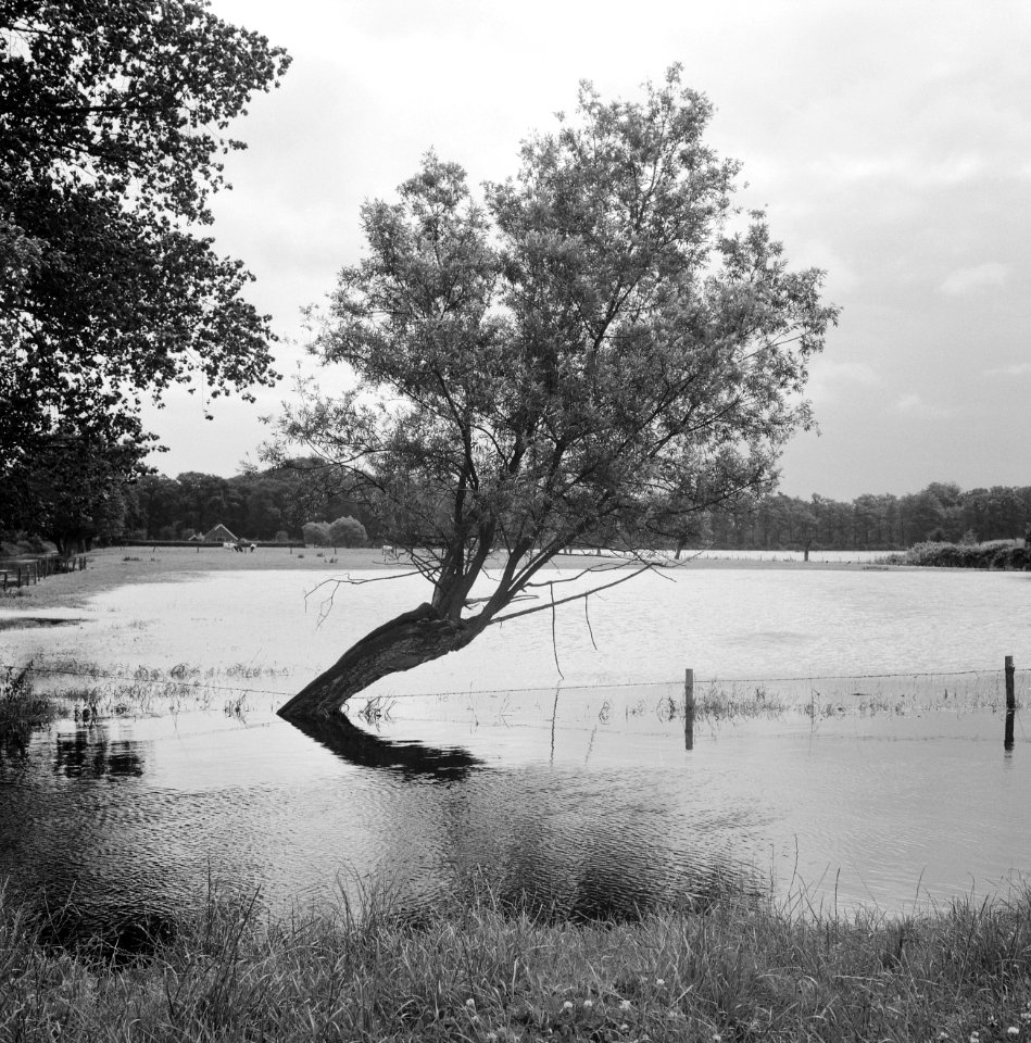 Inpoldering en bemaling, waterschappen, ondergelopen land, Nieuwe Wetering, Bestanddeelnr 159-1062