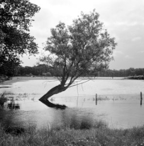 Inpoldering en bemaling, waterschappen, ondergelopen land, Nieuwe Wetering, Bestanddeelnr 159-1062