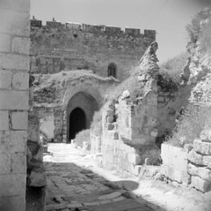 In de citadel van Aleppo Zicht op ruines, Bestanddeelnr 255-5953