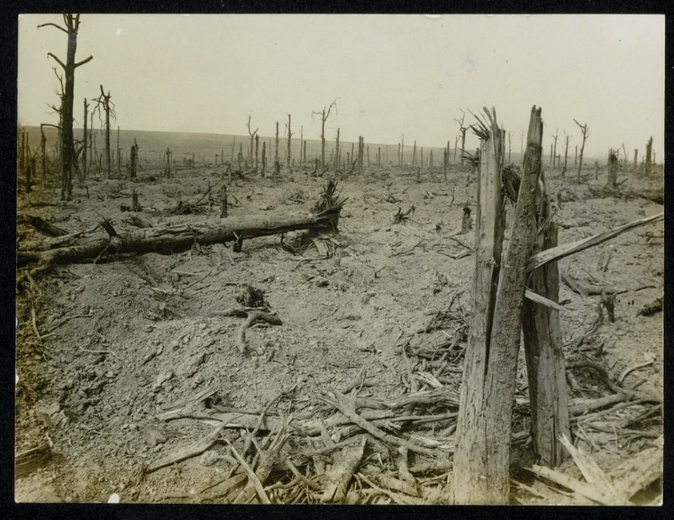 In Delville Wood, Bestanddeelnr 158-0438