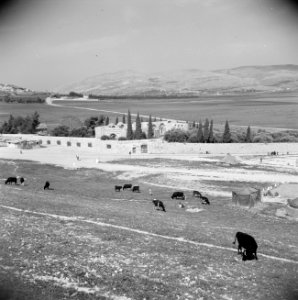 In de omgeving van Nablus Nomadententen, Bestanddeelnr 255-5572