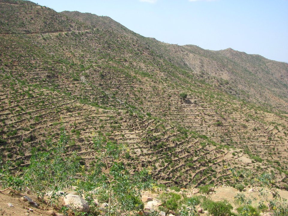 Terrassierte Berge Eritrea