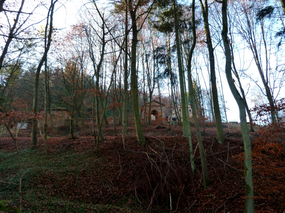 Tawern-Romeinse tempel (9)