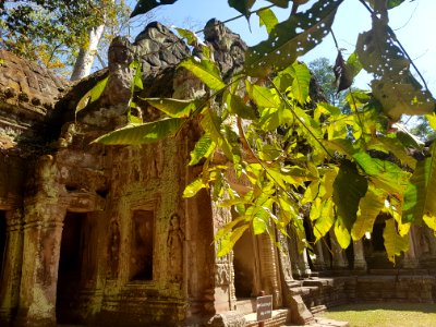 Ta Prohm, 2017-12-31 (056)