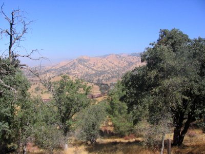 Tehachapi Loop 2088 09