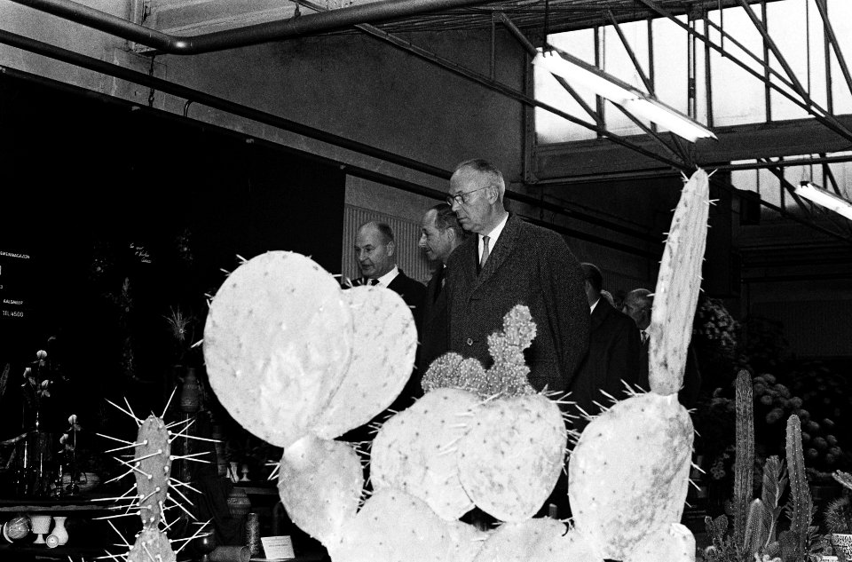 Tentoonstelling van de bloemisterij te Aalsmeer door Baron F X van der Straten, Bestanddeelnr 915-7176