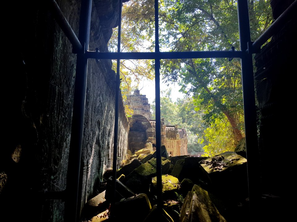 Ta Prohm, 2017-12-31 (044)