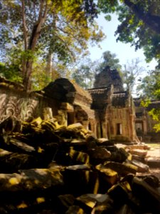 Ta Prohm, 2017-12-31 (047)