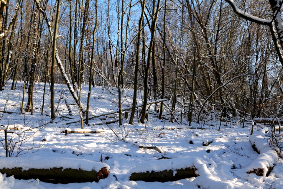 Teufelsberg with snow 2021-01-31 05