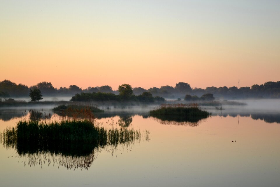 Nature the fog poznan
