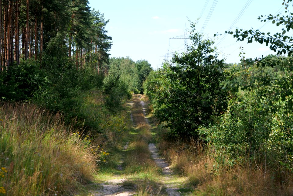 Strausberger Sander-, Os- und Barnimhanglandschaft 2020-08-05 54